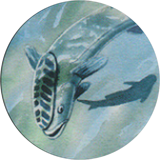 Remora Cameo