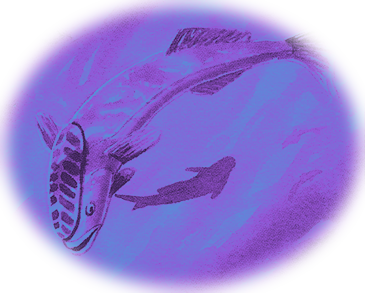 Cyber Remora
