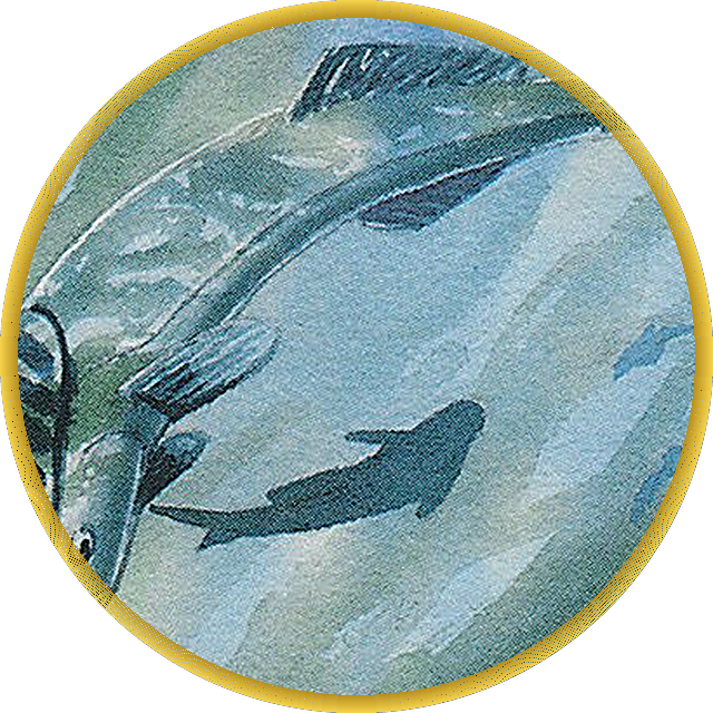 Remora Crest